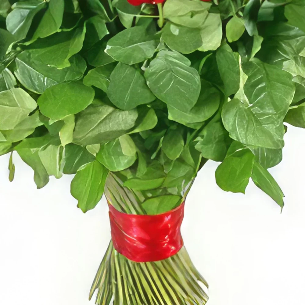 Γκουαγιαμπάλ λουλούδια- Κατευθείαν από την καρδιά Μπουκέτο/ρύθμιση λουλουδιών