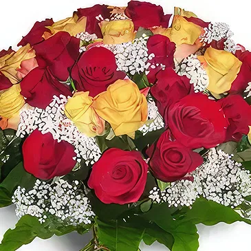 Malbork flowers  -  DREAM Flower Bouquet/Arrangement