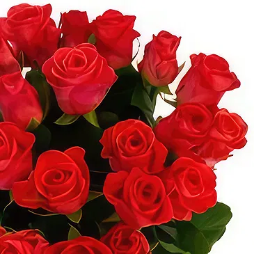 Abulkassem Ech Chebbi flowers  -  Extremely Magnificent Flower Bouquet/Arrangement