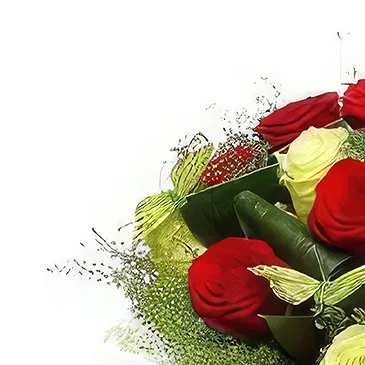 Sofia flowers  -  Special Selection Flower Bouquet/Arrangement