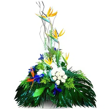 flores de Zaragoza- Vibrações fortes Flor Entrega