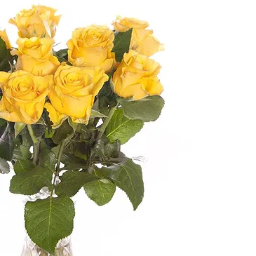 Italy flowers  -  Bouquet of 9 Yellow Roses Flower Bouquet/Arrangement