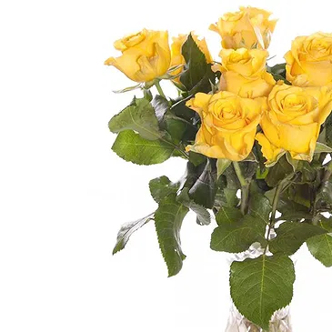 Italy flowers  -  Bouquet of 9 Yellow Roses Flower Bouquet/Arrangement