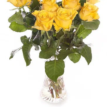 Italy flowers  -  Bouquet of 9 Yellow Roses Flower Bouquet/Arrangement