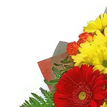 Bodrovo Blumen Florist- Wunderbare Arrangements Bouquet/Blumenschmuck