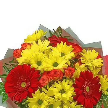 Bodrovo Blumen Florist- Wunderbare Arrangements Bouquet/Blumenschmuck
