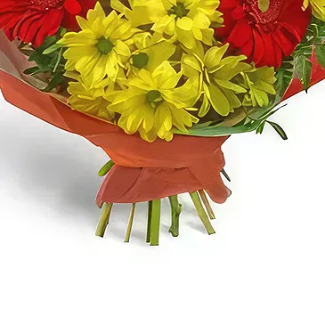 Bodrovo Blumen Florist- Wunderbare Arrangements Bouquet/Blumenschmuck
