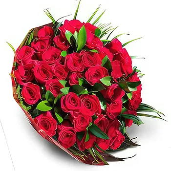 Ibiza flowers  -  Red Delicacy Flower Delivery