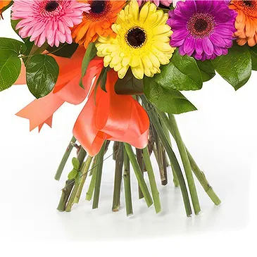 Italy flowers  -  Bouquet of Colored Gerberas Flower Bouquet/Arrangement