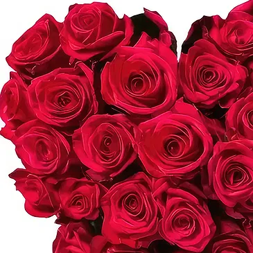 Cala Llonga flowers  -  Graceful Adieu Flower Bouquet/Arrangement