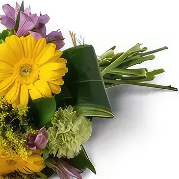 Chile flowers  -  Bouquet of Astromelia and Gerberas Flower Bouquet/Arrangement