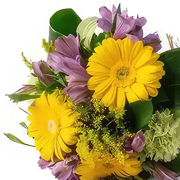 Chile flowers  -  Bouquet of Astromelia and Gerberas Flower Bouquet/Arrangement