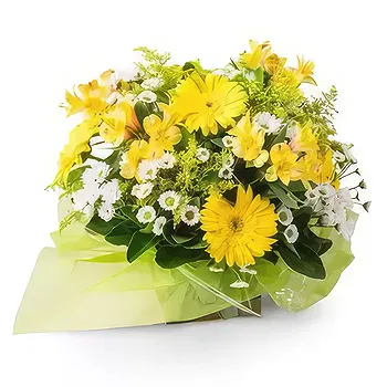 Brazil flowers  -  Arrangement of White and Yellow Gerberas and  Flower Delivery