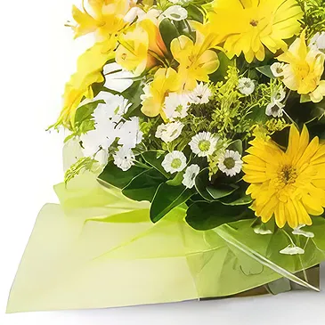 Santa Maria flowers  -  Arrangement of White and Yellow Gerberas and  Flower Bouquet/Arrangement