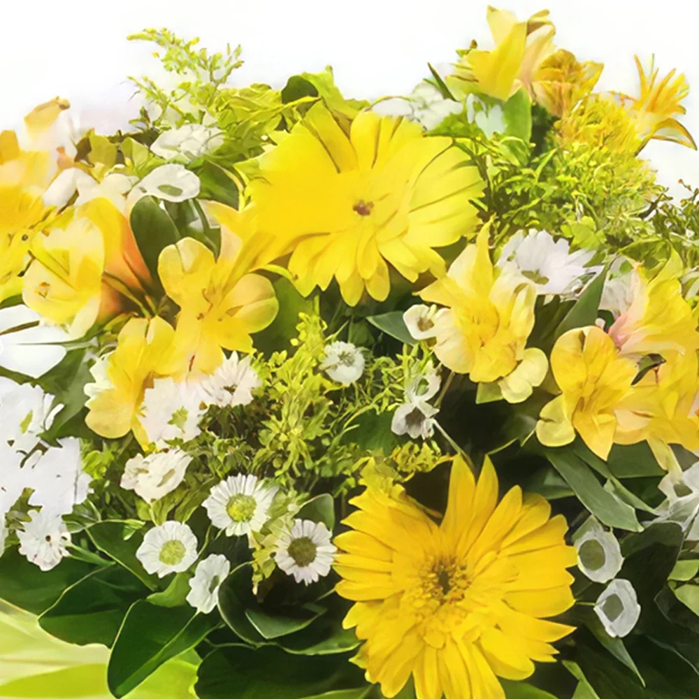 サンパウロ 花- 白と黄色ガーベラとひなぎくのアレンジメント 花束/フラワーアレンジメント
