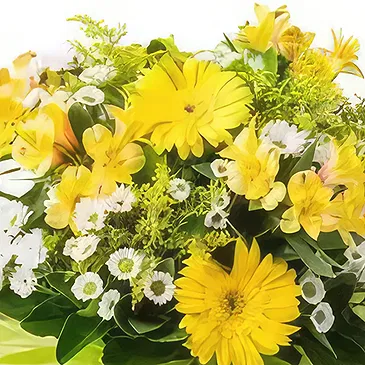 Santa Maria flowers  -  Arrangement of White and Yellow Gerberas and  Flower Bouquet/Arrangement