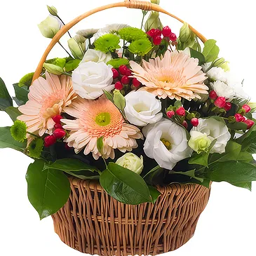 Oman flowers  -  Basket in light colors Flower Bouquet/Arrangement