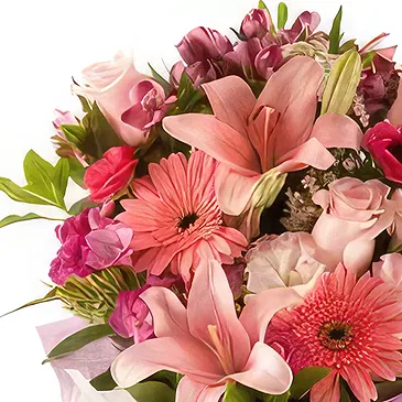 Capitan Caceres flowers  -  printed dedication  Flower Bouquet/Arrangement