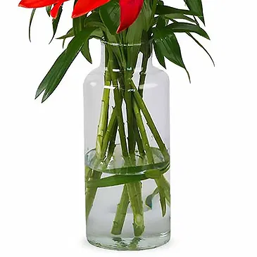Amsterdam-Zuidoost flowers  -  New Day Flower Bouquet/Arrangement