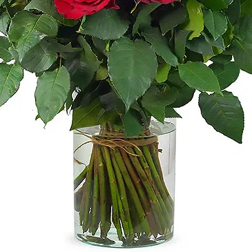 Maastricht flowers  -  Anniversary Bouquet Flower Bouquet/Arrangement