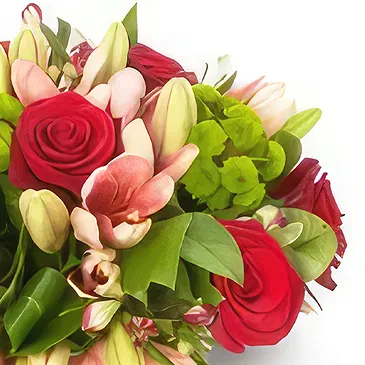 Amiret Touazra flori- Frumuseţe Buchet/aranjament floral