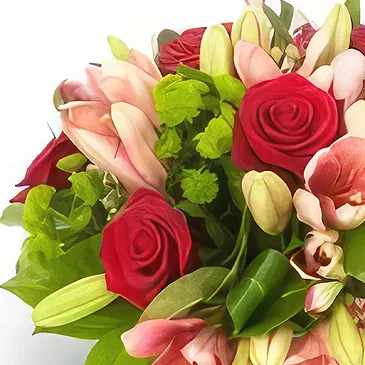 Amiret Touazra flori- Frumuseţe Buchet/aranjament floral