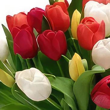 Benalmadena flowers  -  Bold Style Flower Bouquet/Arrangement