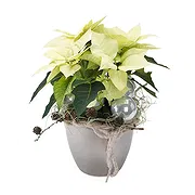 Catania online Florist - White Christmas Star with Decorations Bouquet