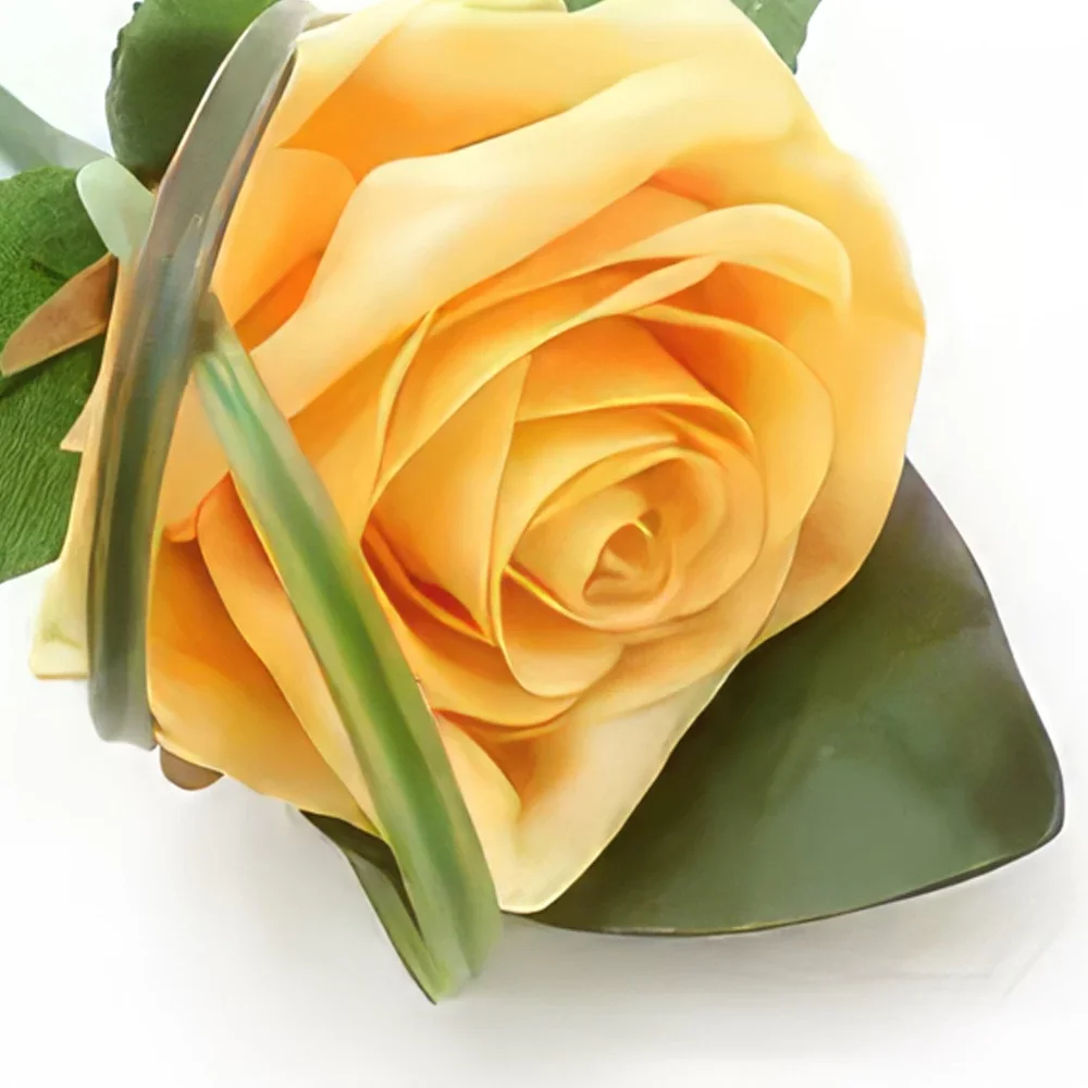 Teneriffa Blumen Florist- Rose-Knopfloch Bouquet/Blumenschmuck