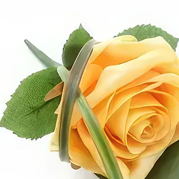 Cabo Balanco blommor- Rose knapphål Bukett/blomsterarrangemang