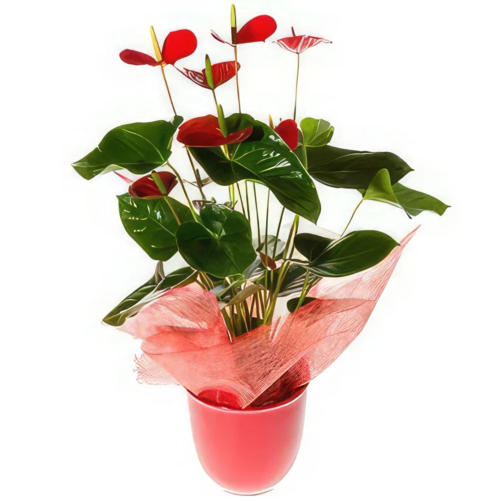 Adana flowers  -  Stylish Flower Bouquet/Arrangement