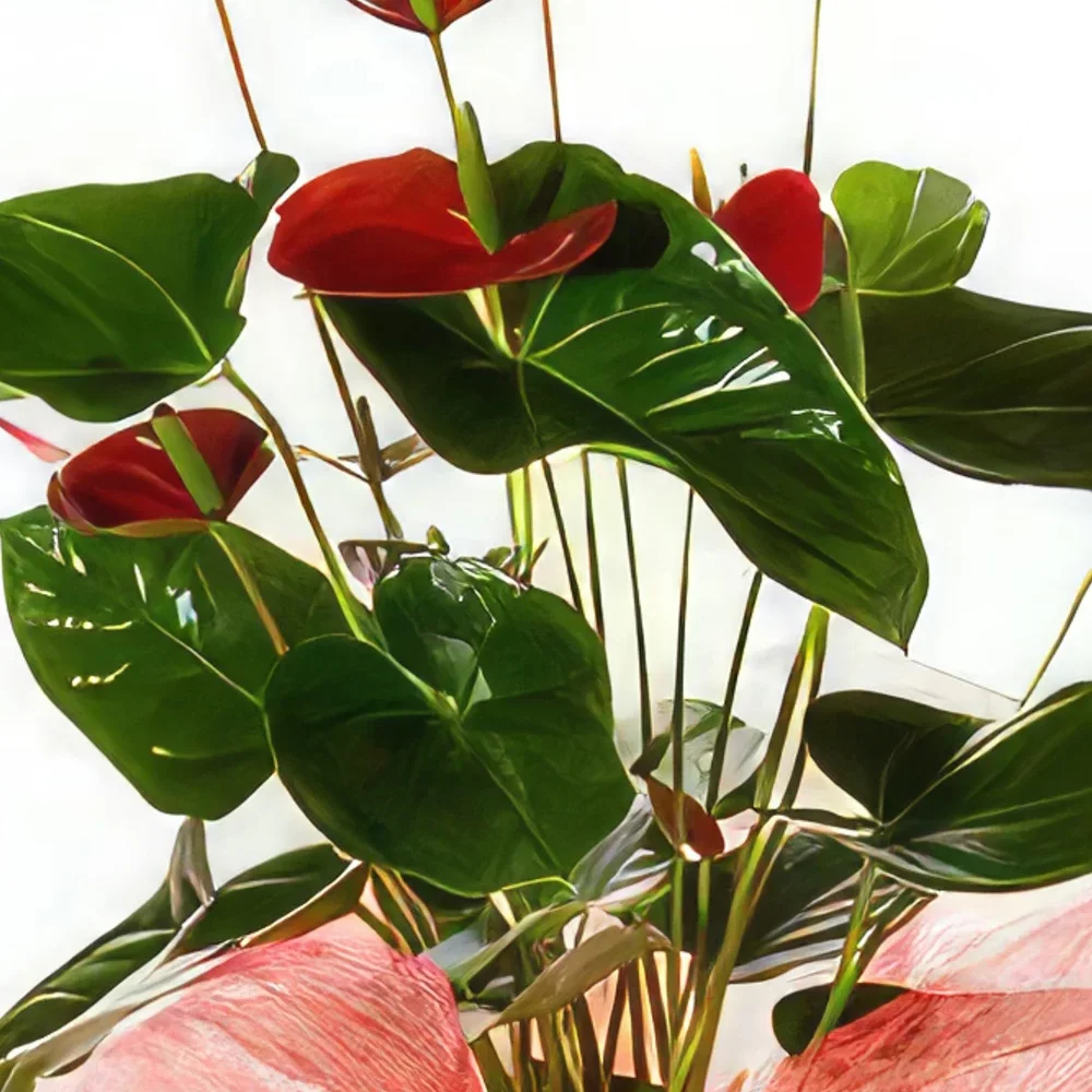 Phuket Blumen Florist- Stilvolle Bouquet/Blumenschmuck