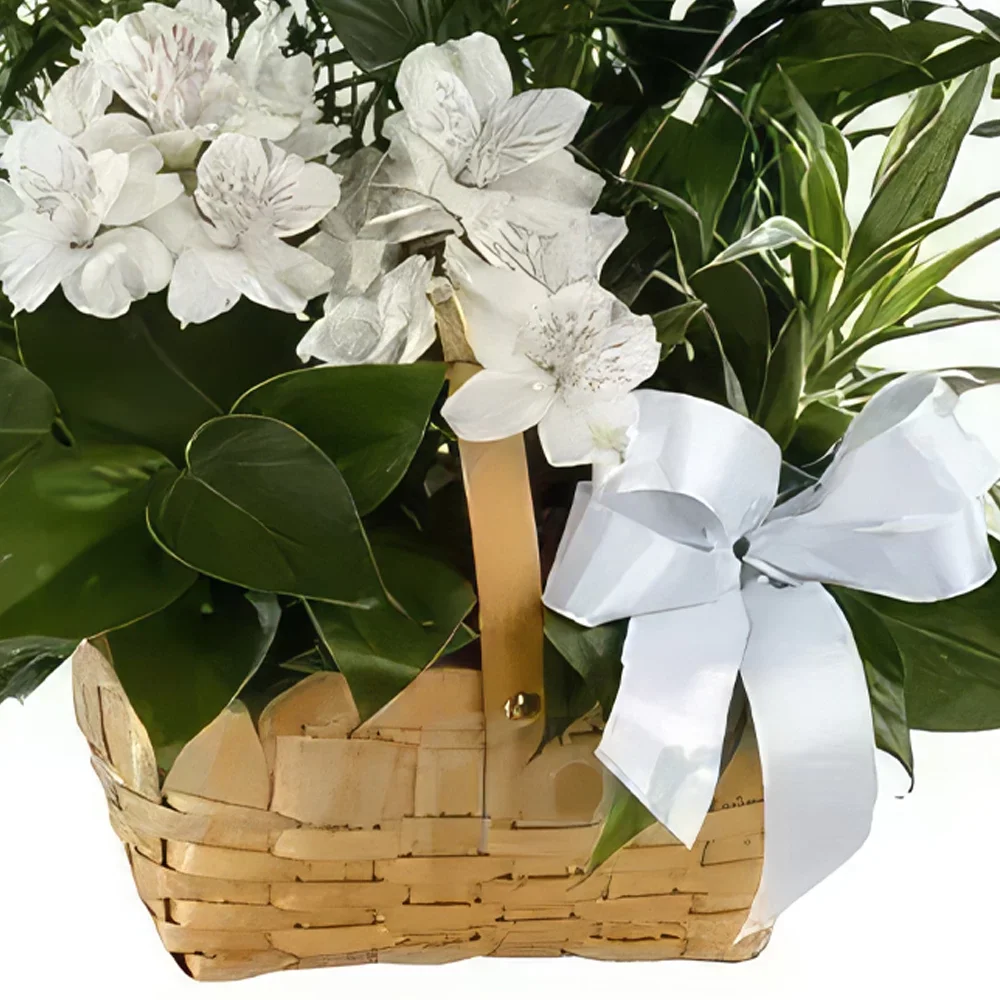 סוטוגרנדה פרחים- סל צמחים זר פרחים/סידור פרחים