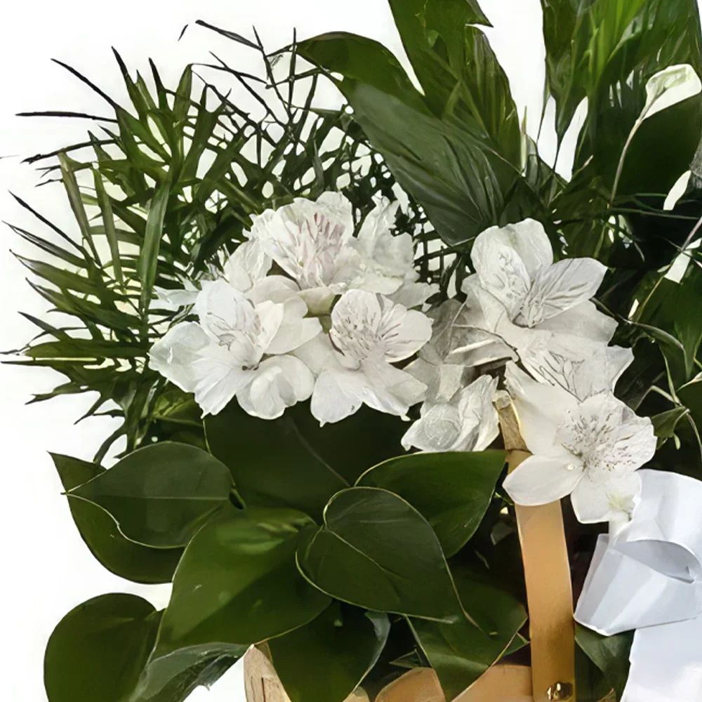 flores de San Sebastian- Cesta de plantas Bouquet/arranjo de flor
