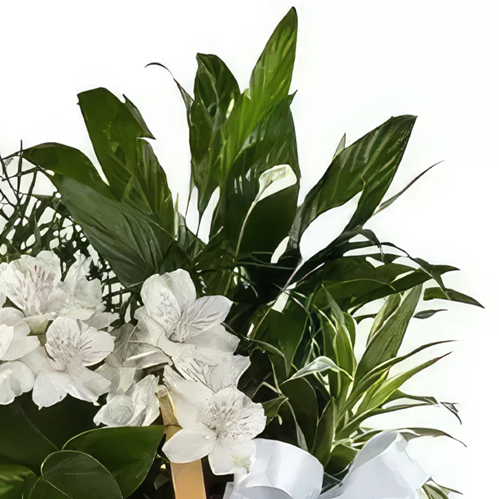 ברצלונה פרחים- סל צמחים זר פרחים/סידור פרחים