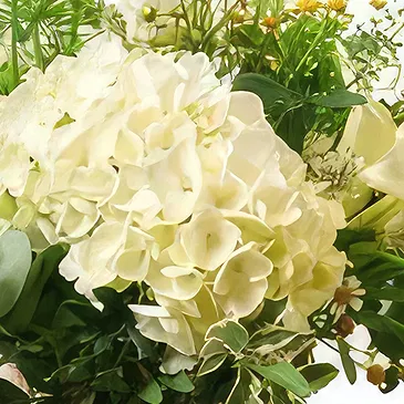 Cala Llonga flowers  -  Elegant Composition Flower Bouquet/Arrangement