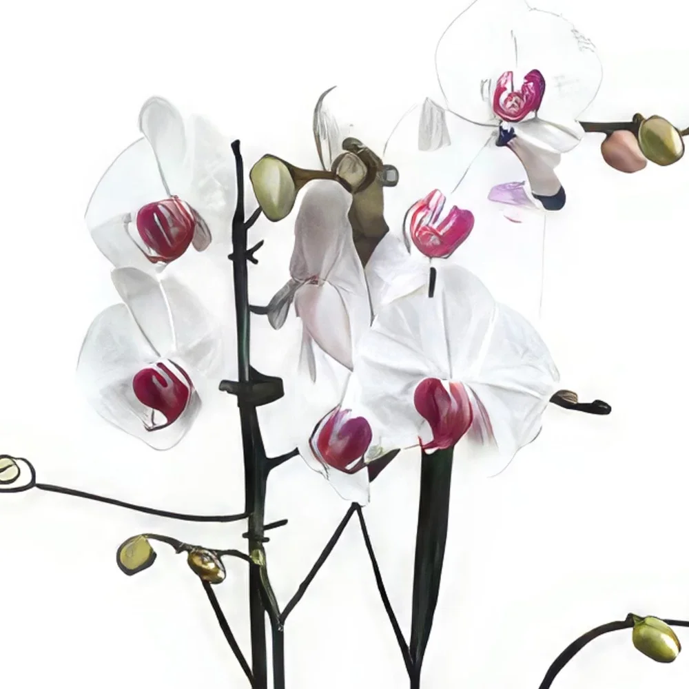 Cascais Blumen Florist- Königin der Orchideen Bouquet/Blumenschmuck