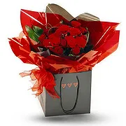 Petrovac na Moru Fleuriste en ligne - Rouge rubis Bouquet