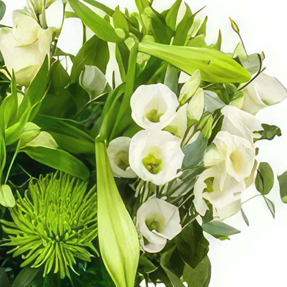 fleuriste fleurs de La Haye- Été Bouquet/Arrangement floral