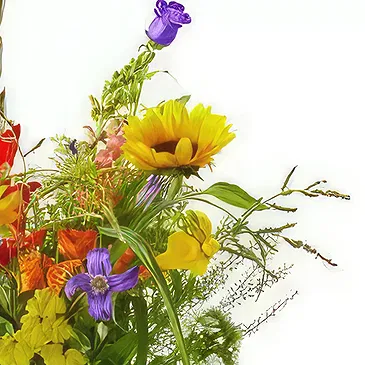 Store Valby flowers  -   Bouquet Radiant Flower Bouquet/Arrangement