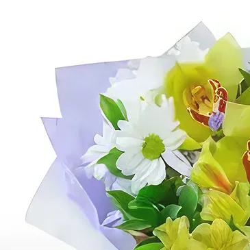 ブラゴボ 花- グリーントーンの花 花束/フラワーアレンジメント