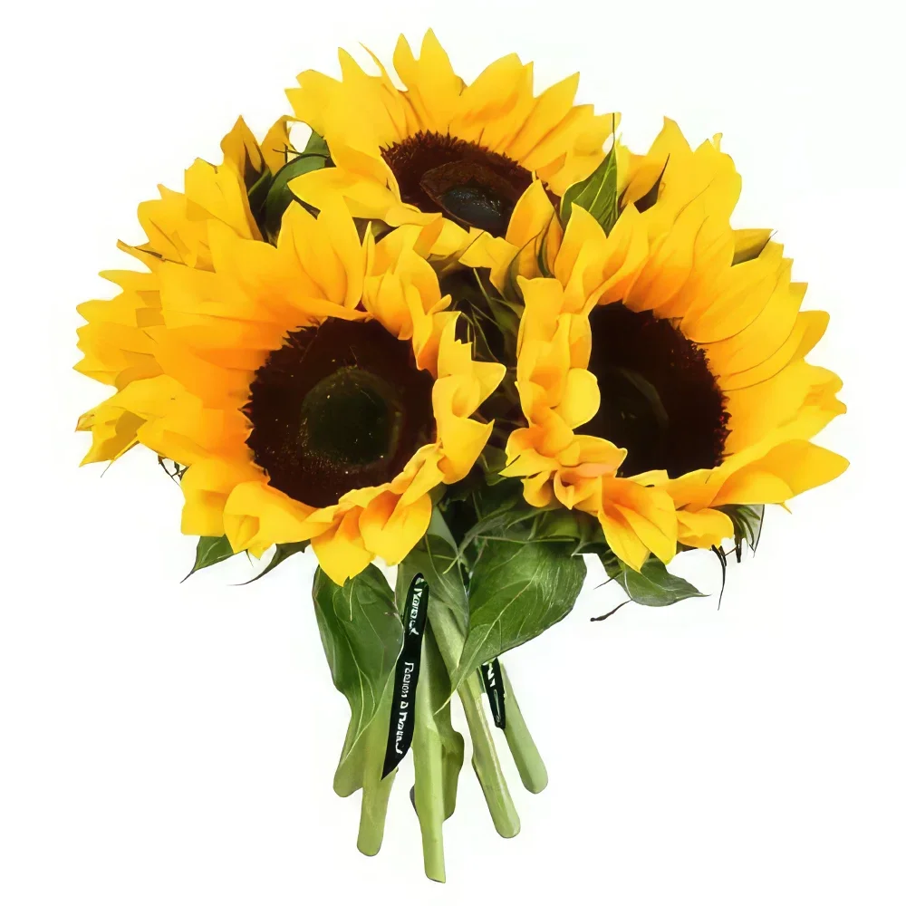 Sheffield blomster- Solrige smil Blomst buket/Arrangement