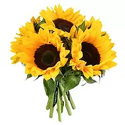 Leicester online Florist - Sunny Smiles Bouquet