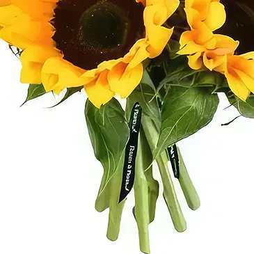 Leicester flowers  -  Sunny Smiles Flower Bouquet/Arrangement