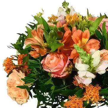 Leicester flowers  -  Blushing Orange Flower Bouquet/Arrangement