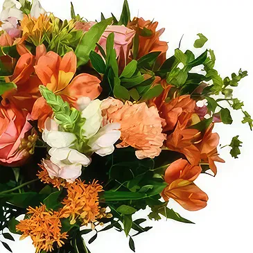 Leicester flowers  -  Blushing Orange Flower Bouquet/Arrangement