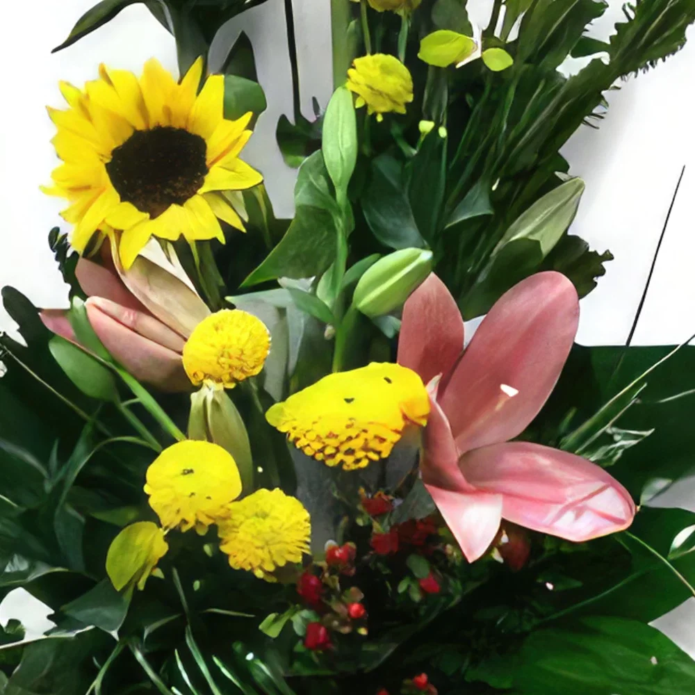 Cascais λουλούδια- Φιλικότητα Μπουκέτο/ρύθμιση λουλουδιών
