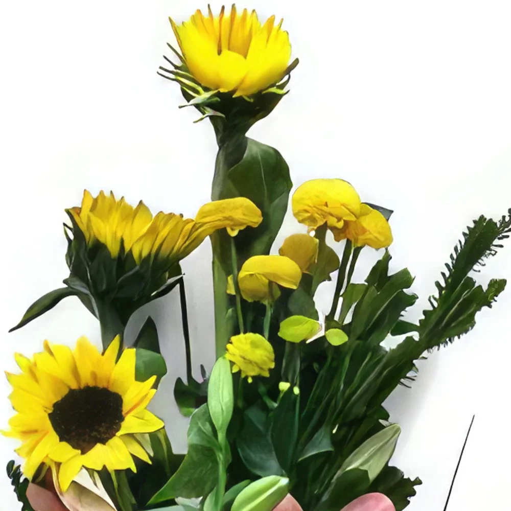 Alcabideche flowers  -  Friendliness Flower Bouquet/Arrangement