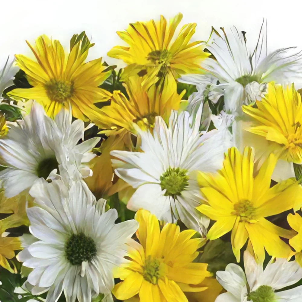 Стокхолм цветя- Слънчеви лъчи Букет/договореност цвете