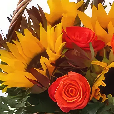 Wroclaw flowers  -  Red Roses  Flower Bouquet/Arrangement
